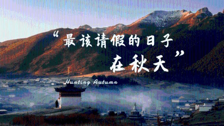 哈森股份4涨停