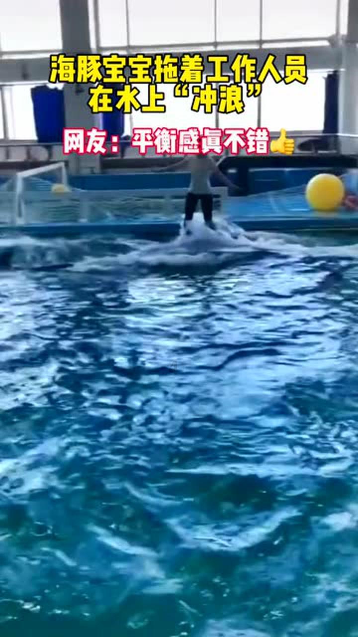 创作猫