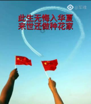 昔日女排队长,退役后虽身居要职,却因疾病缠身,靠换血续命