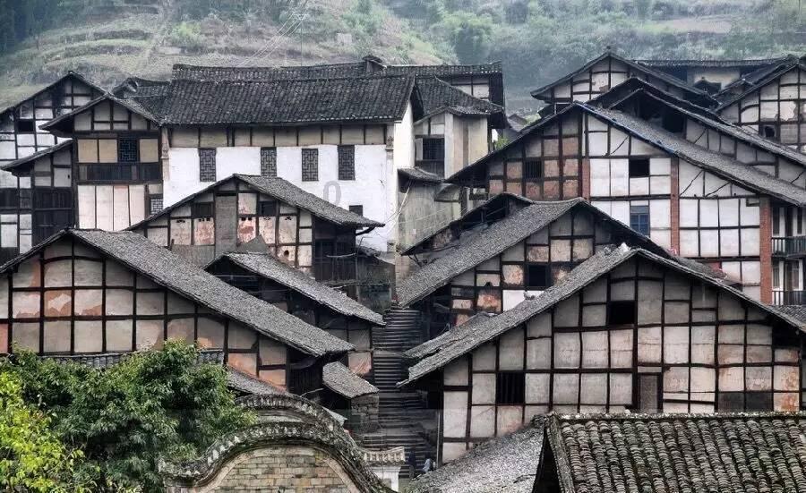 苹果和梨研发成乳酸菌免费饮料的口感如何？会得到市场的认可吗