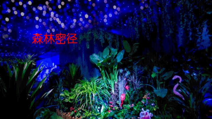 是谁 搅动衢州文旅 一池春水